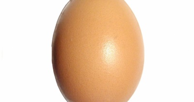 La Ficcanaso e la prova dell’uovo