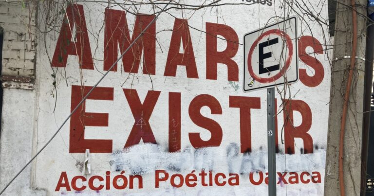 Disavventure latine. Messico: diari da Oaxaca