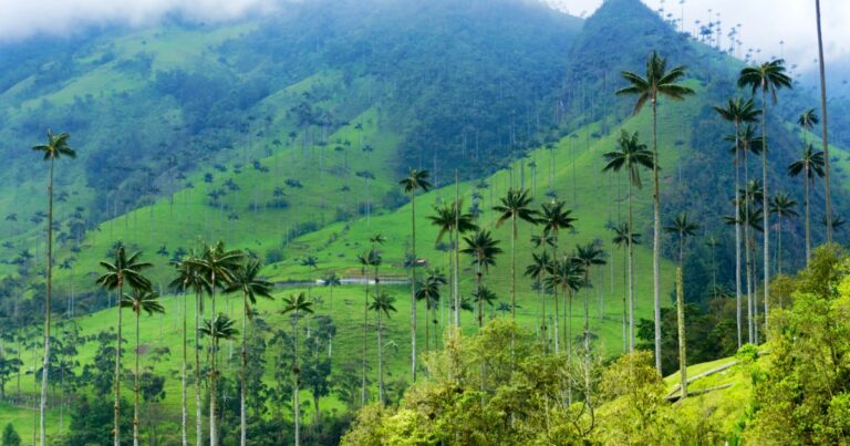 La Colombia in un baleno