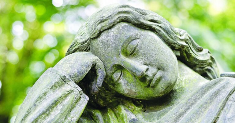 Terra elvetica, ultima dimora e luogo di pace