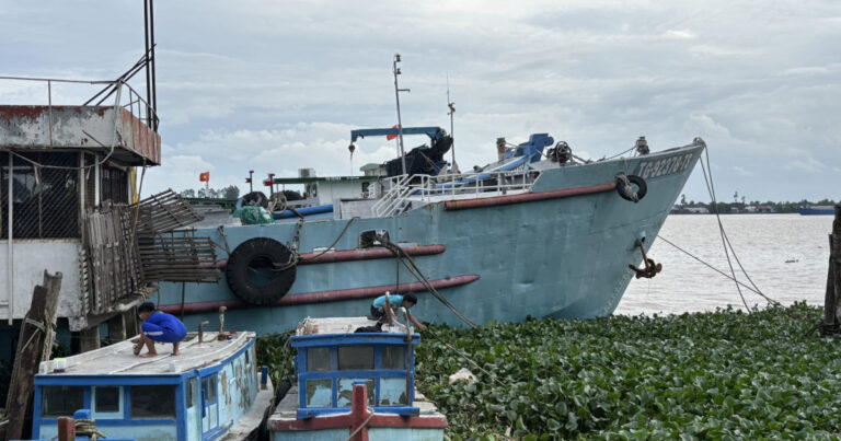 Chi fa da sé va a Ben Tre