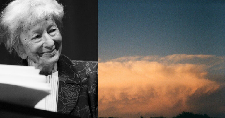 Wisława Szymborska, miniaturista in versi