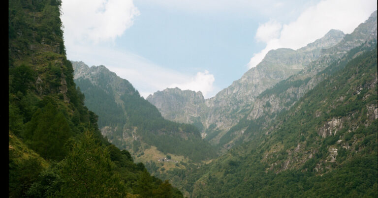 Affamati di natura